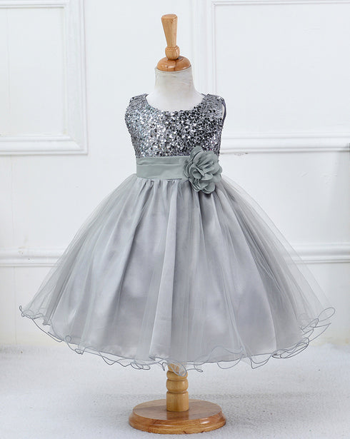 Mesh Paggy Dress